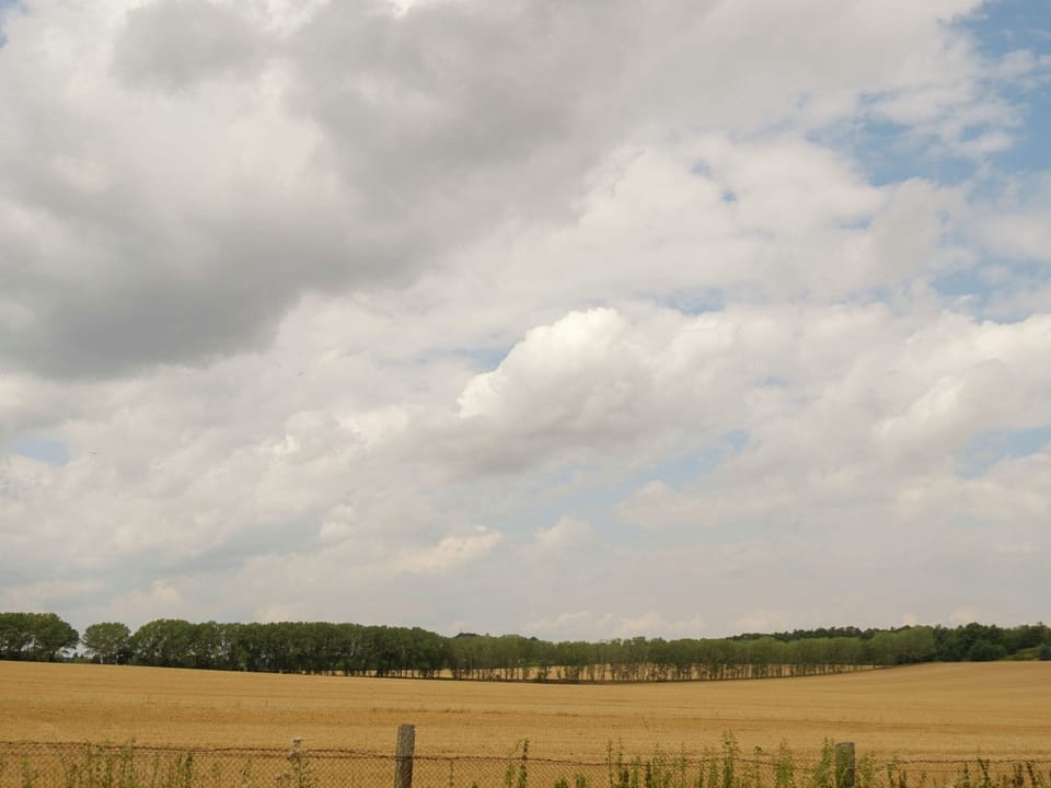 Immediate Surroundings [summer] (<1 km)