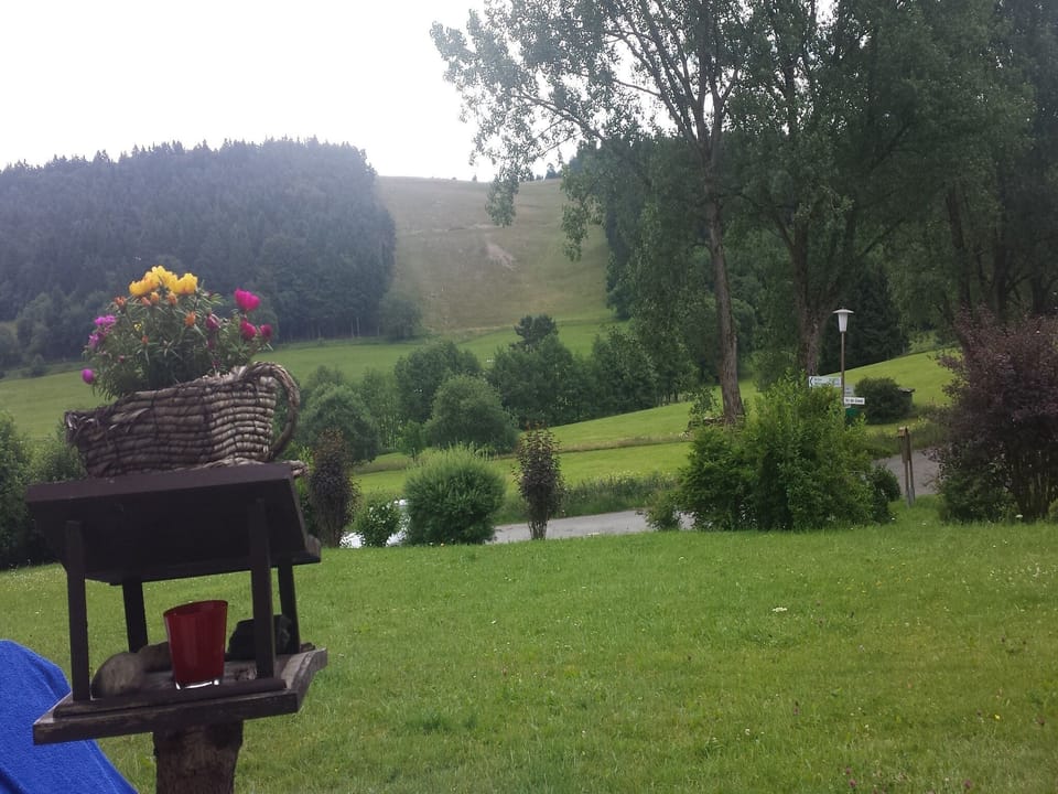 View from Holiday Home [summer]