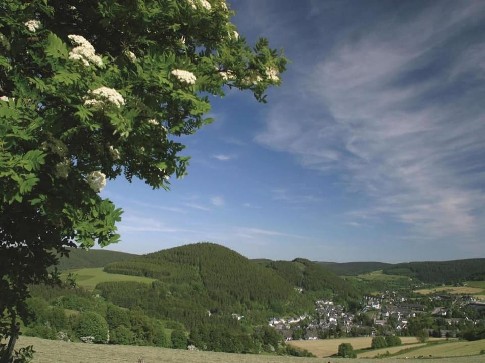 Region [summer] (>5 km)
