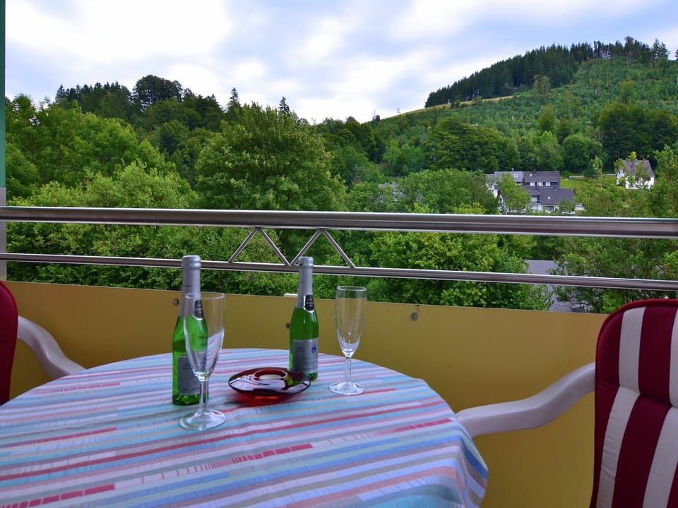 Patio / Balcony