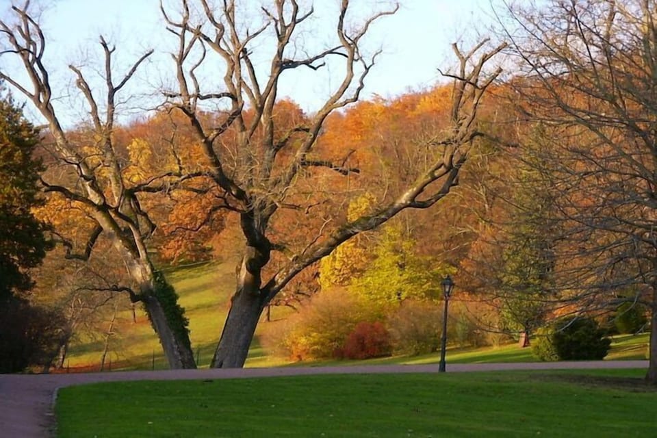 Surroundings [summer] (1-5 km)