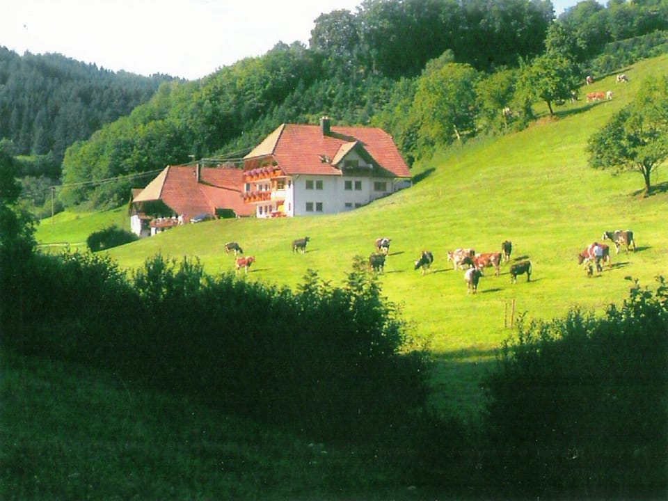 Holiday Home Exterior [summer]