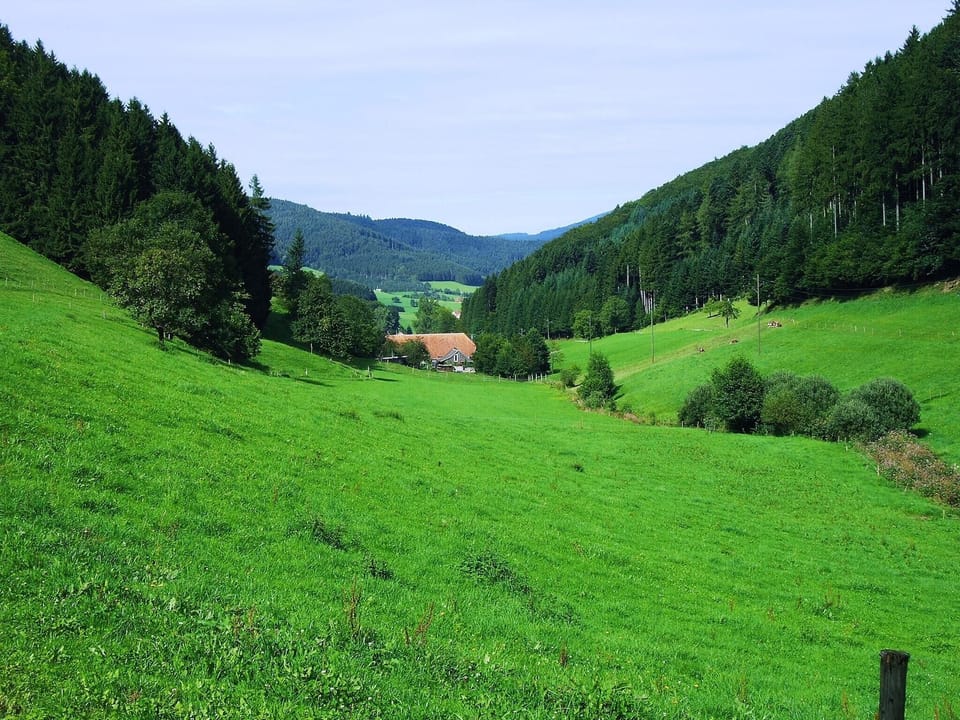 Immediate Surroundings [summer] (<1 km)
