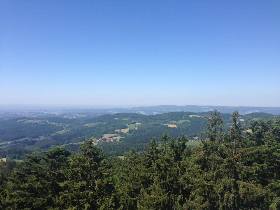 Region [summer] (>5 km)