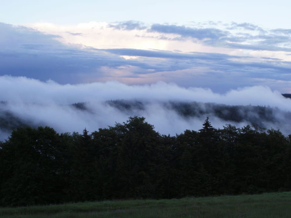 View from Holiday Home [summer]