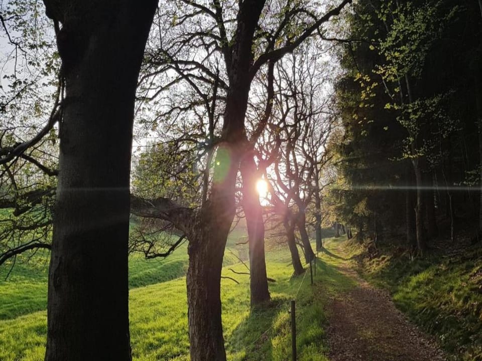 Surroundings [summer] (1-5 km)
