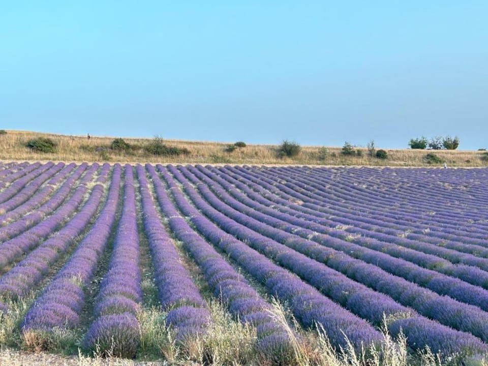 Surroundings [summer] (1-5 km)