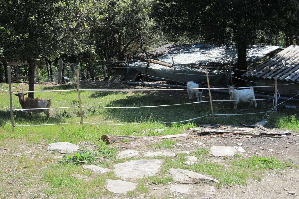 Immediate Surroundings [summer] (<1 km)