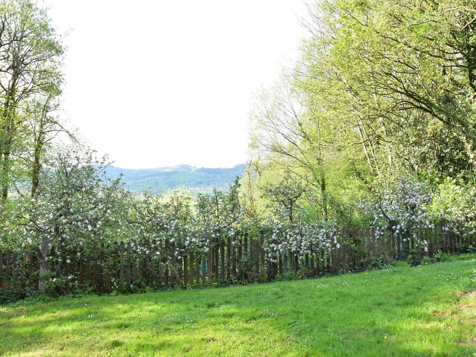 View from Holiday Home [summer]