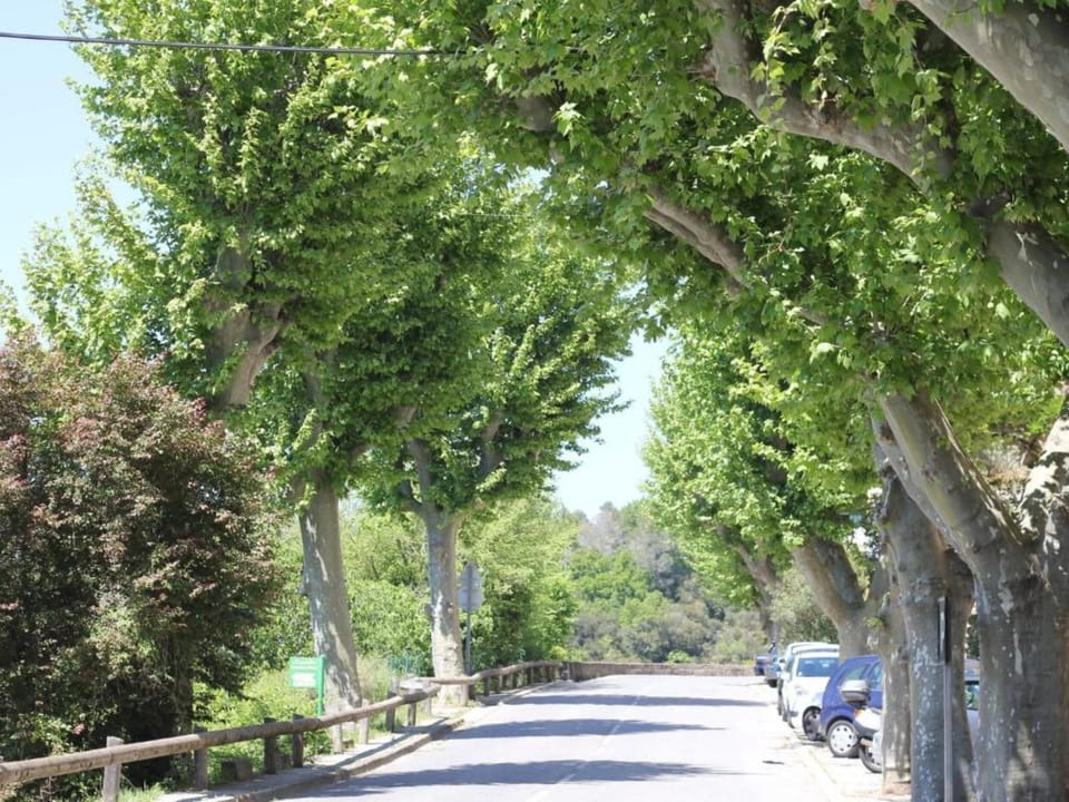 Region [summer] (>5 km)