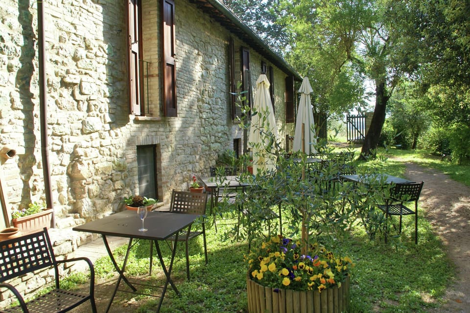 Garden [summer]