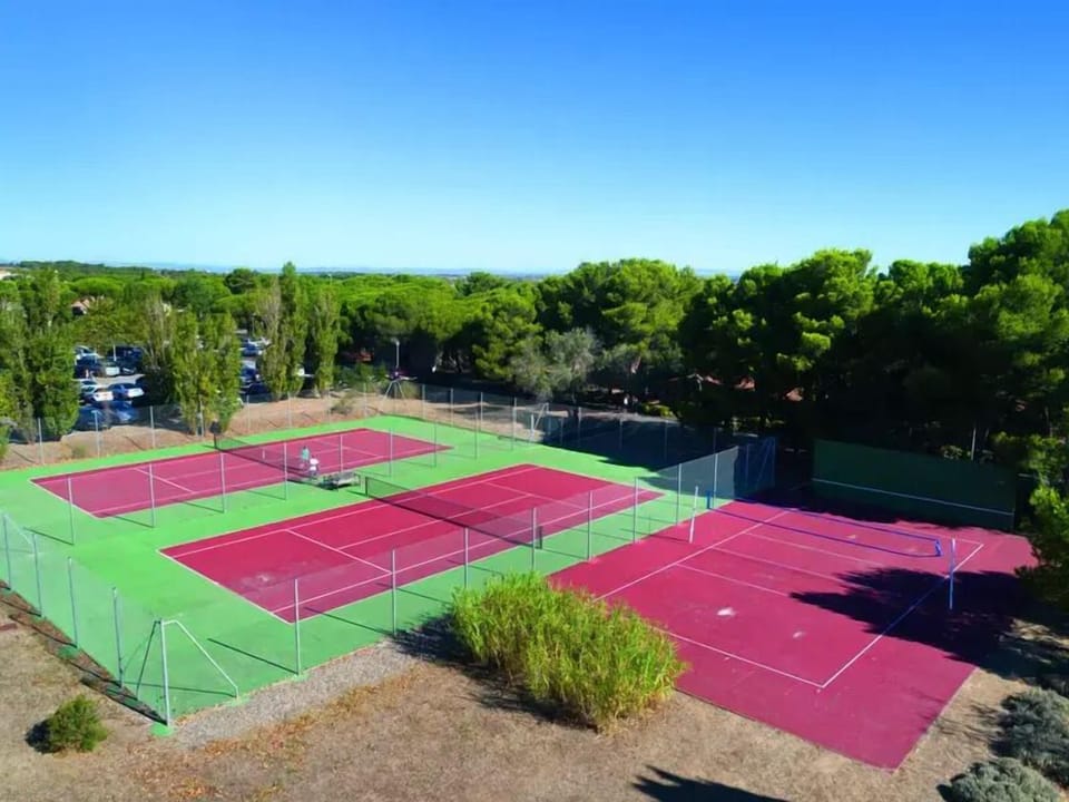 Sport court