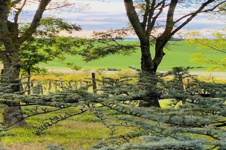Surroundings [summer] (1-5 km)