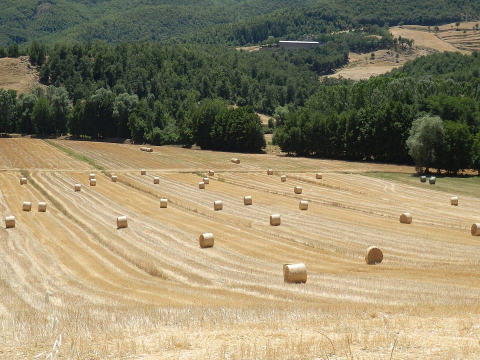 View from Holiday Home [summer]