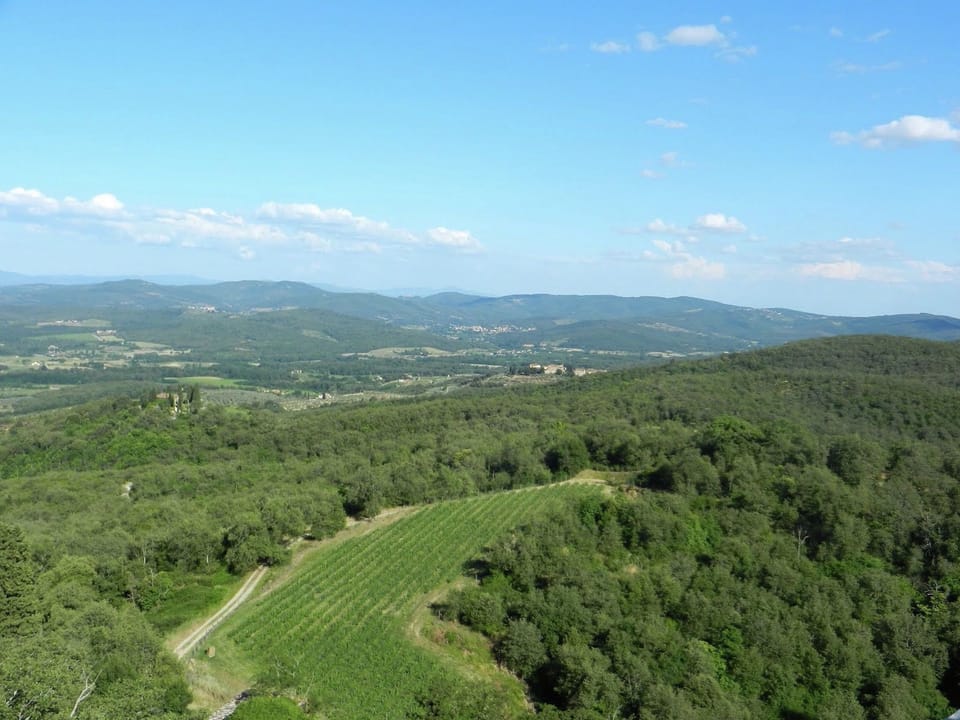 Surroundings [summer] (1-5 km)