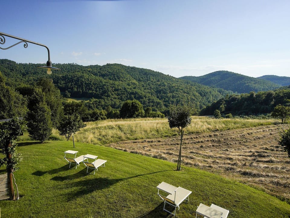 View from Holiday Home [summer]
