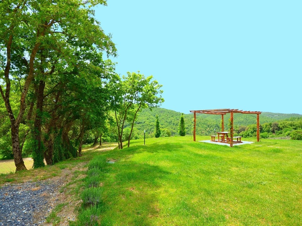 Garden [summer]