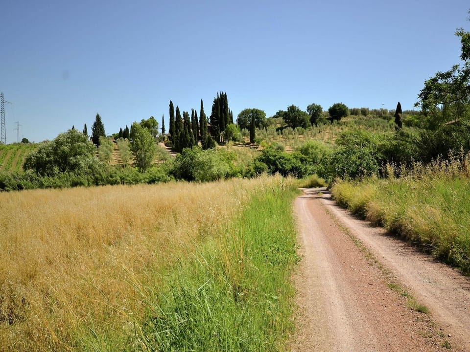 Surroundings [summer] (1-5 km)
