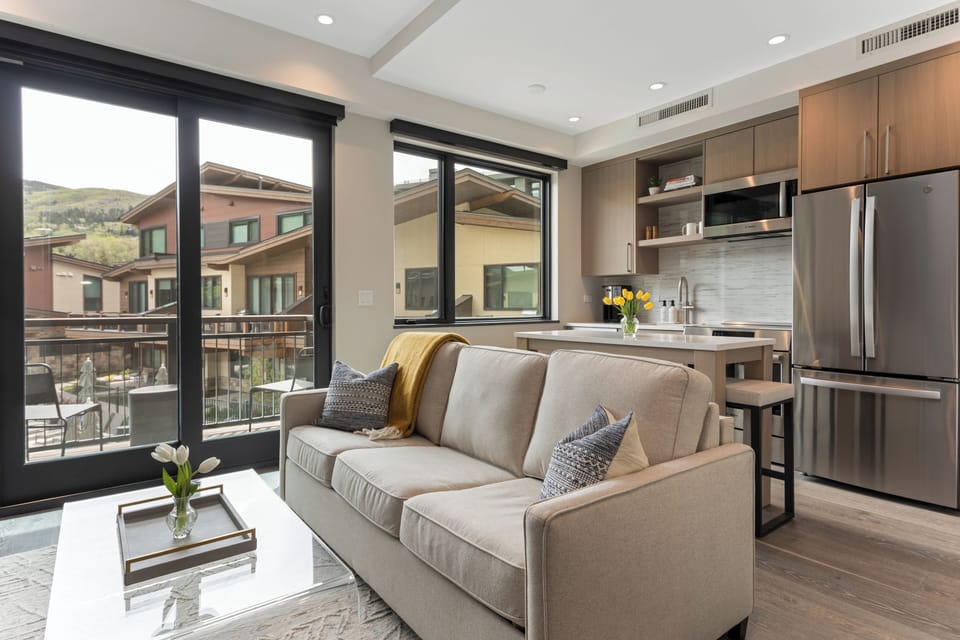 Living Room and Kitchen Area