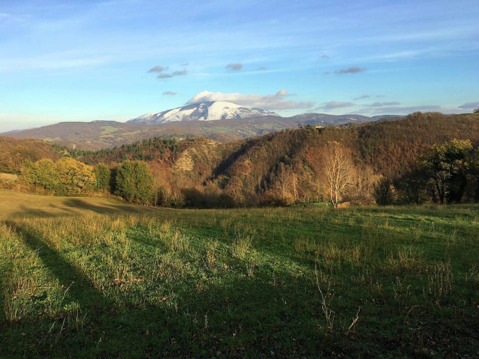 View from Holiday Home [summer]
