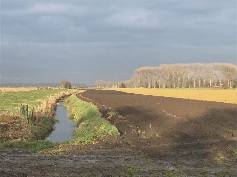 View from Holiday Home [summer]