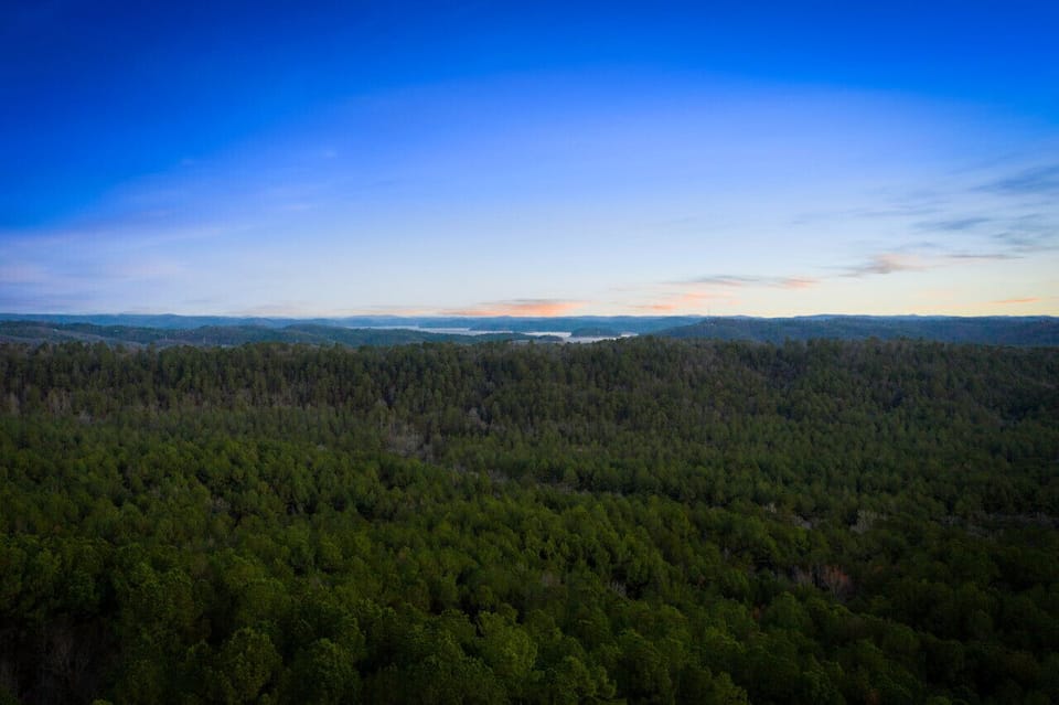 A breathtaking vista awaits just beyond the cabin's doorstep.