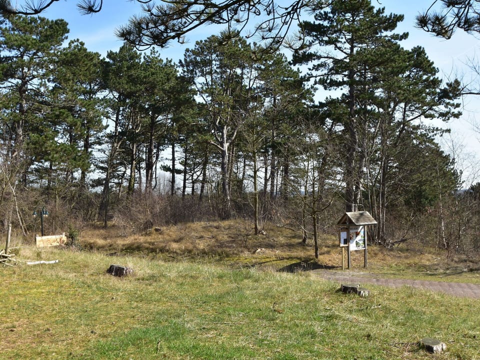 Immediate Surroundings [summer] (<1 km)