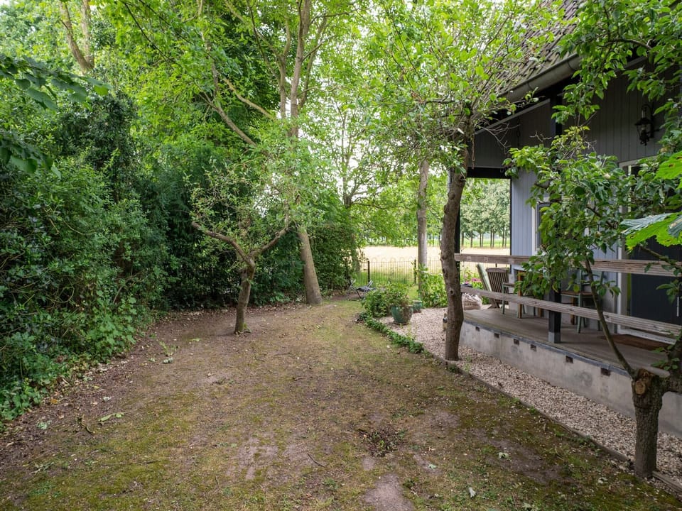 Garden [summer]