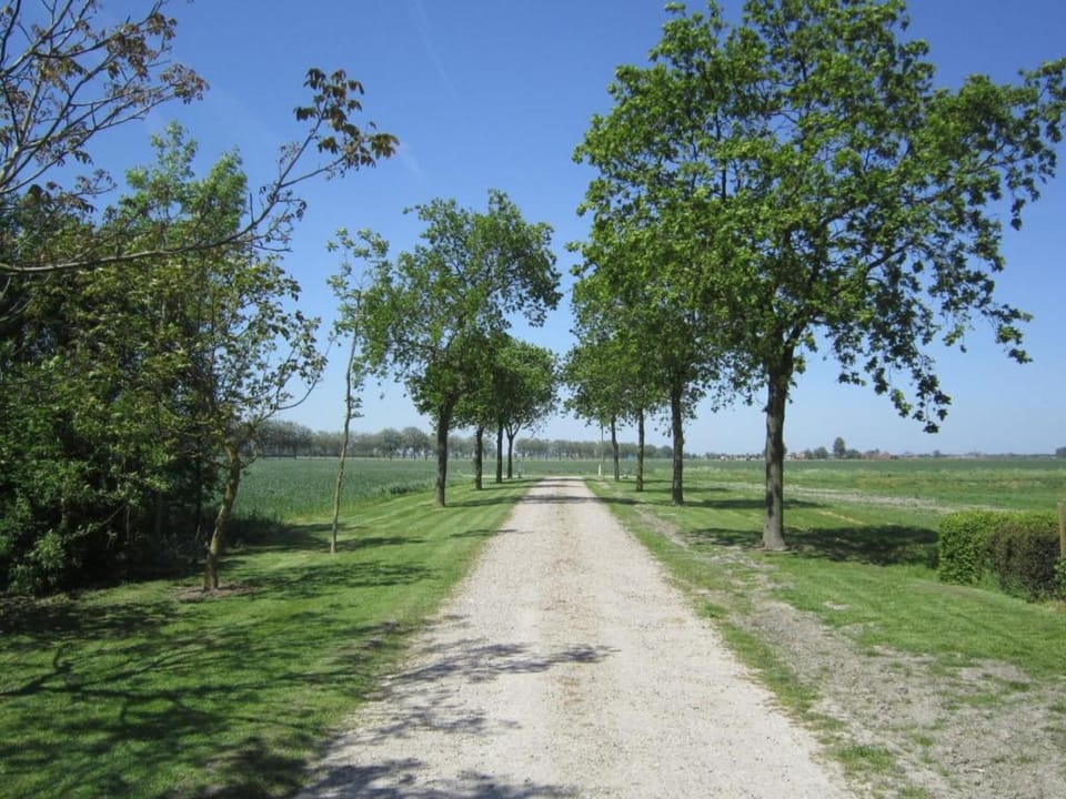 Region [summer] (>5 km)