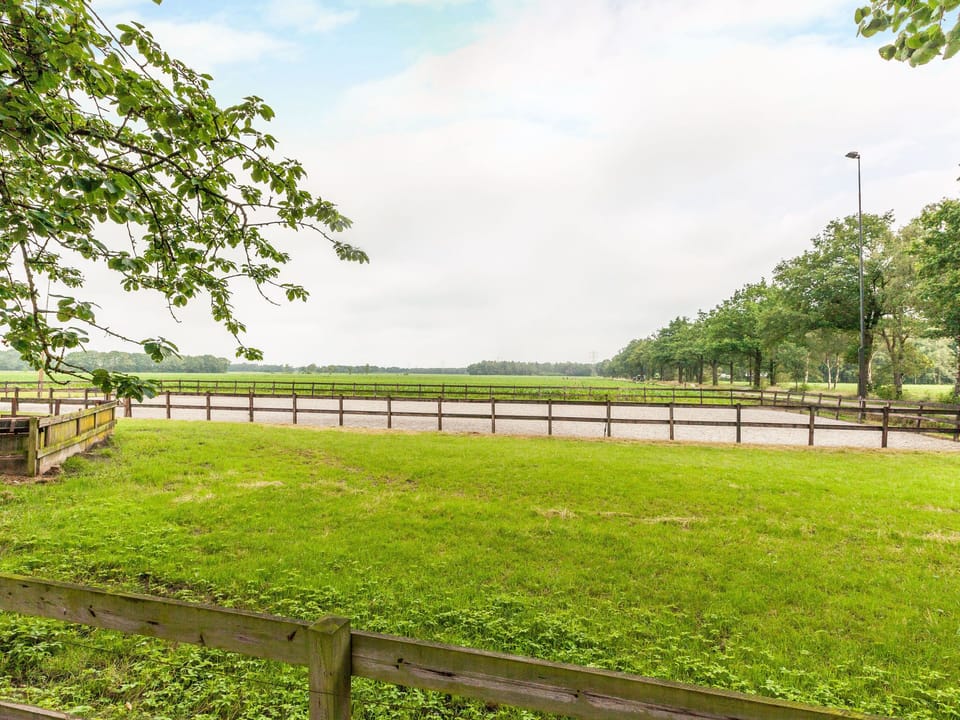 View from Holiday Home [summer]