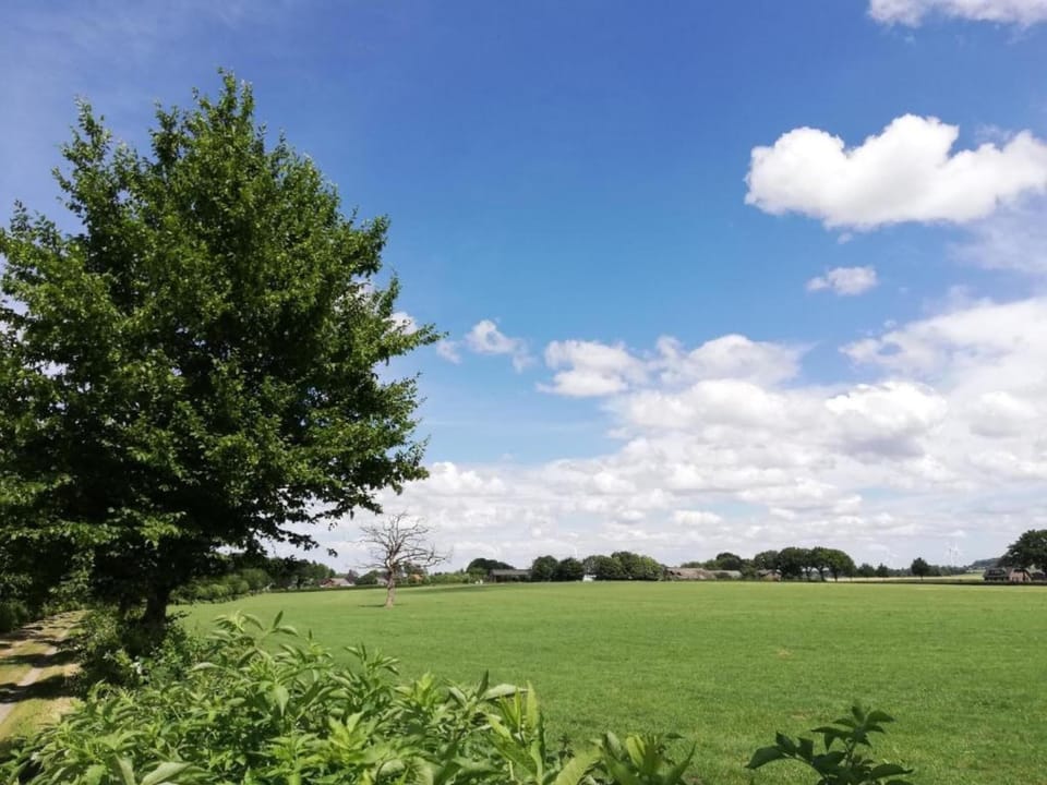 Region [summer] (>5 km)
