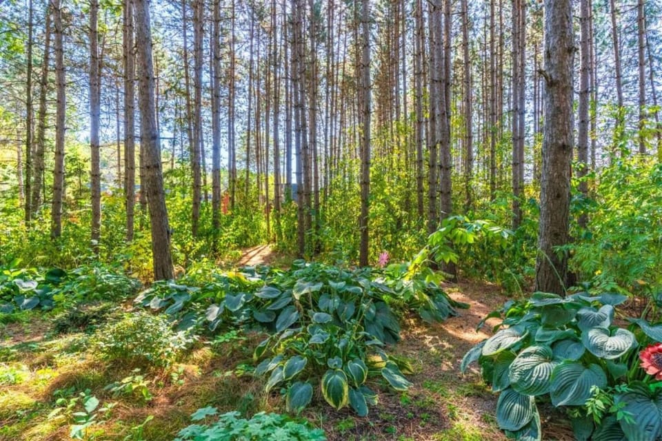 Region [summer] (>5 km)