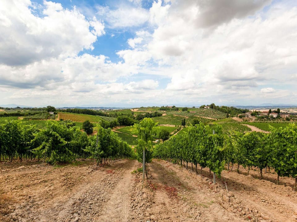 Surroundings [summer] (1-5 km)