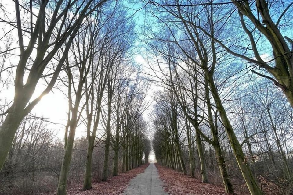 Surroundings [winter] (1-5 km)