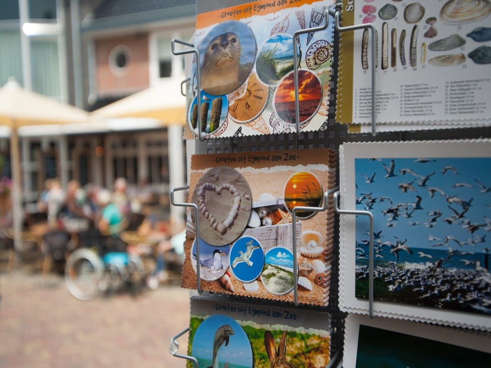 Surroundings [summer] (1-5 km)