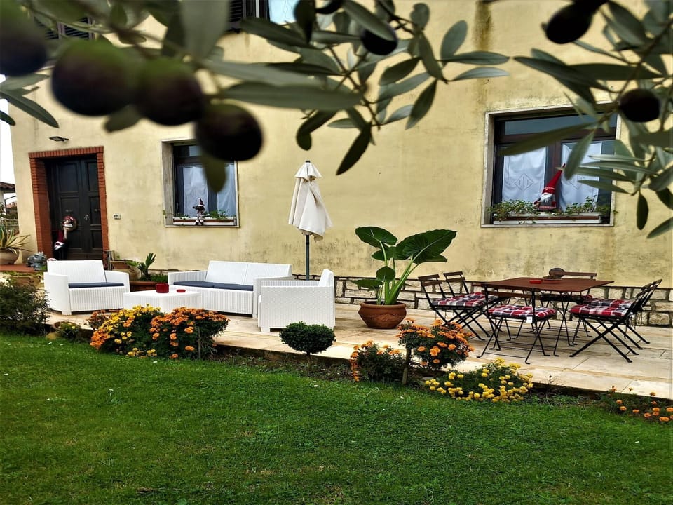 Patio / Balcony