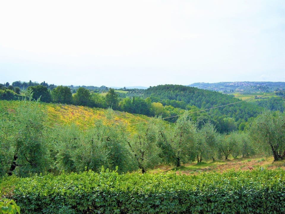 Immediate Surroundings [summer] (<1 km)