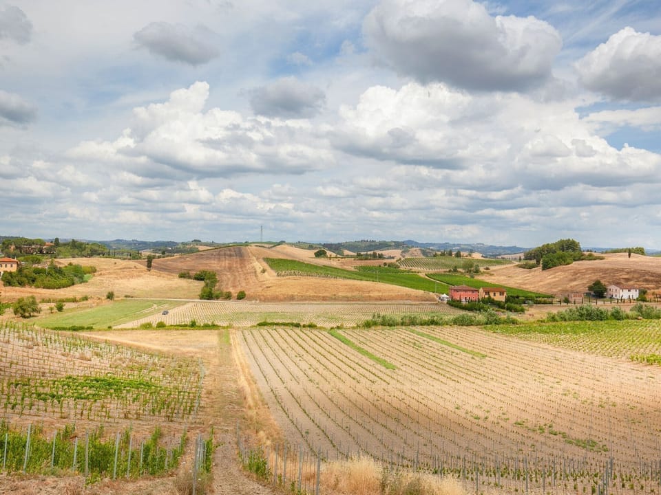 View from Holiday Home [summer]