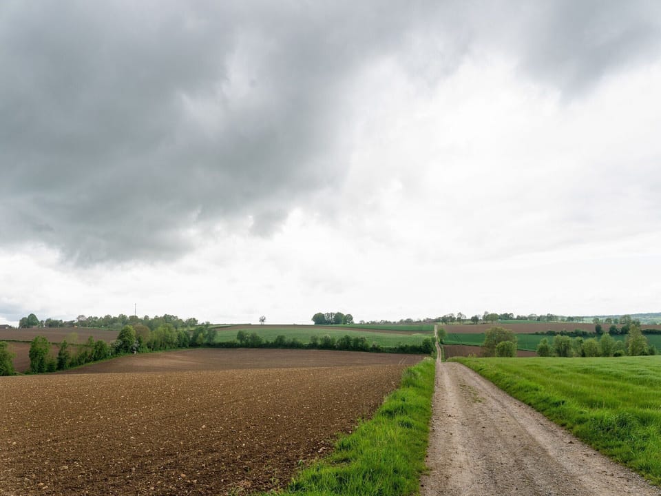 Surroundings [summer] (1-5 km)
