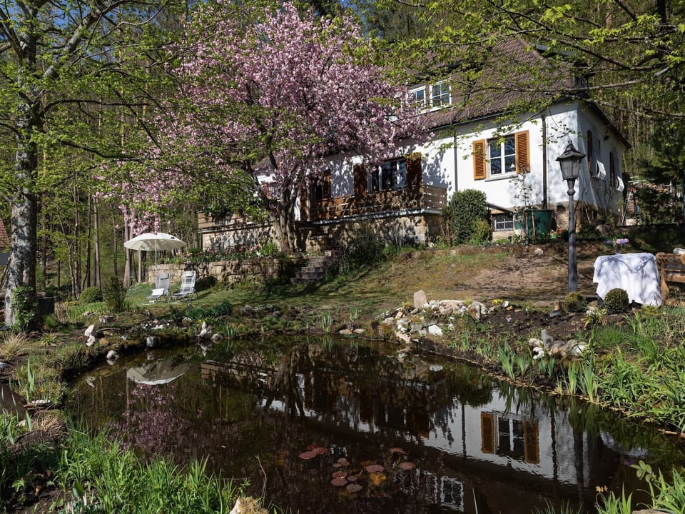 Holiday Home Exterior [summer]