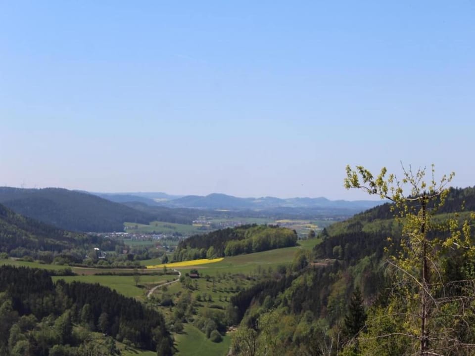 Region [summer] (>5 km)