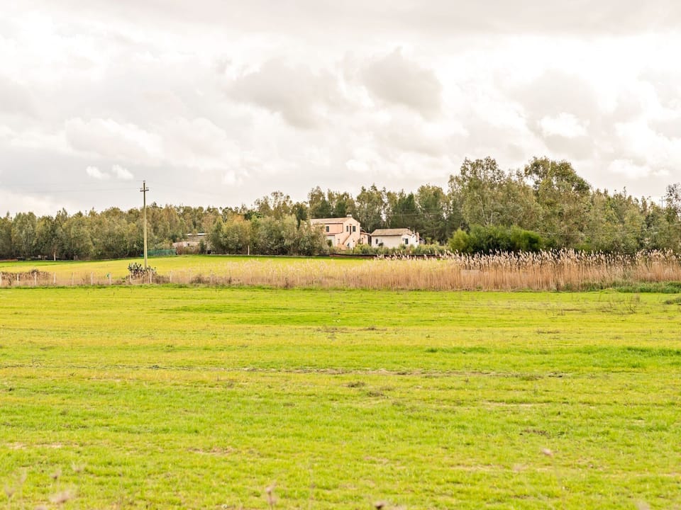 Immediate Surroundings [summer] (<1 km)