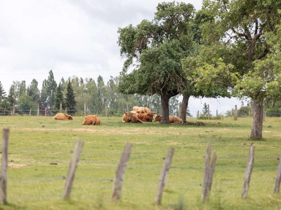 Immediate Surroundings [summer] (<1 km)