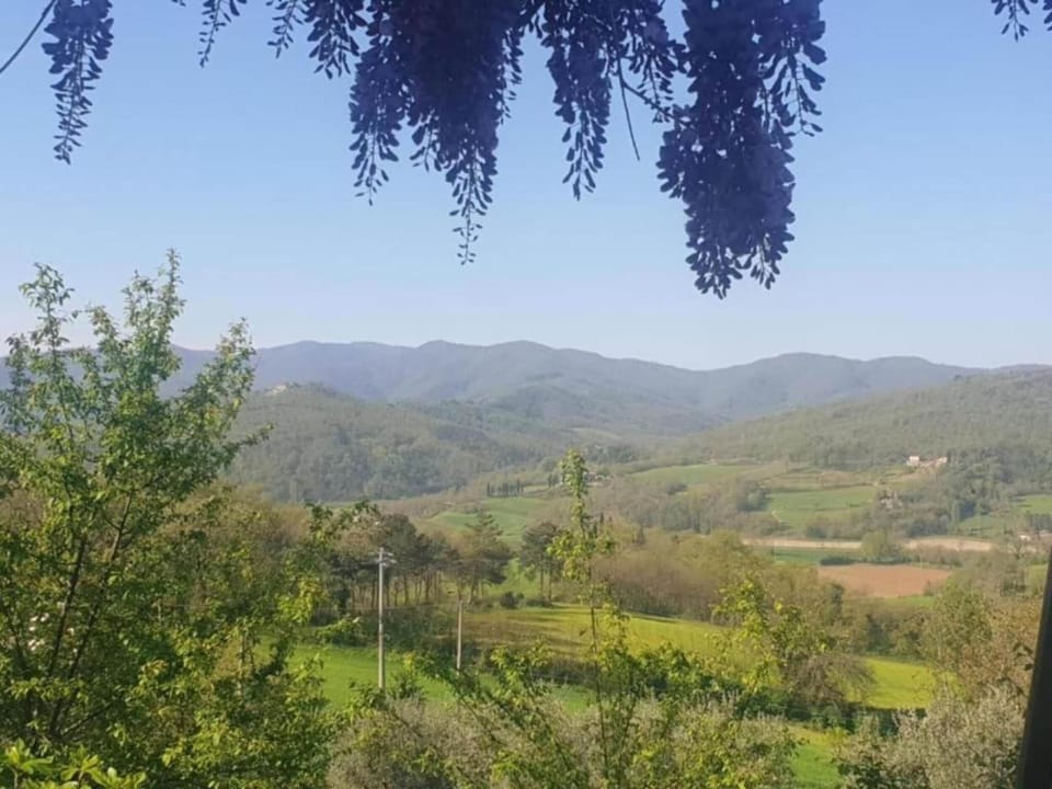 Surroundings [summer] (1-5 km)