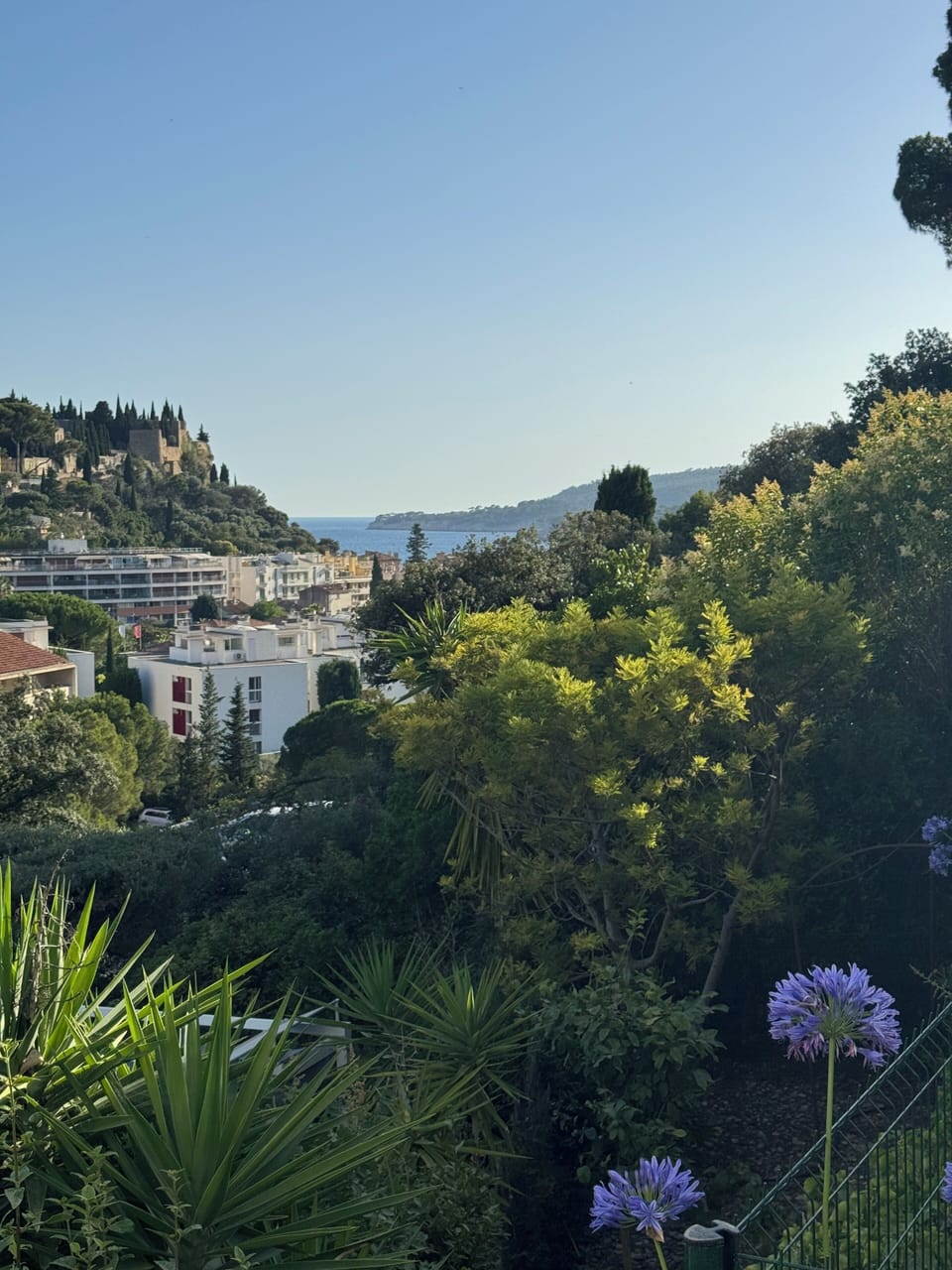 View from property