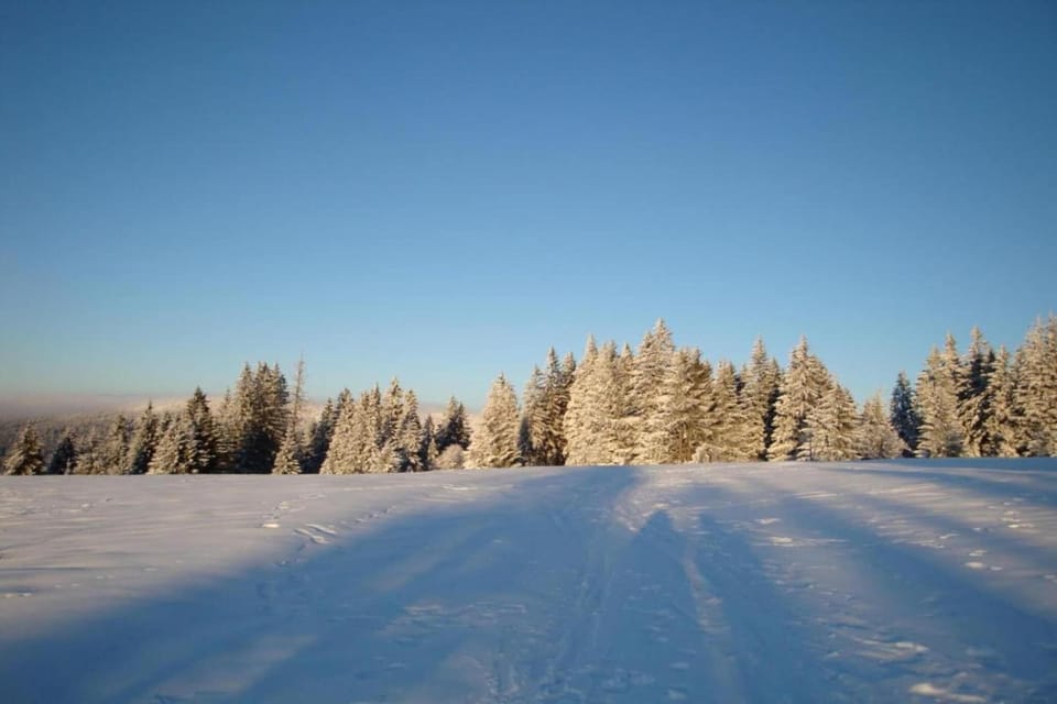 Region [winter] (>5 km)