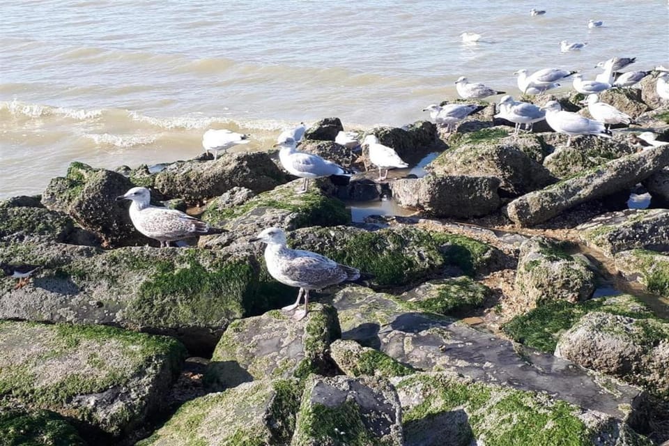 Surroundings [summer] (1-5 km)