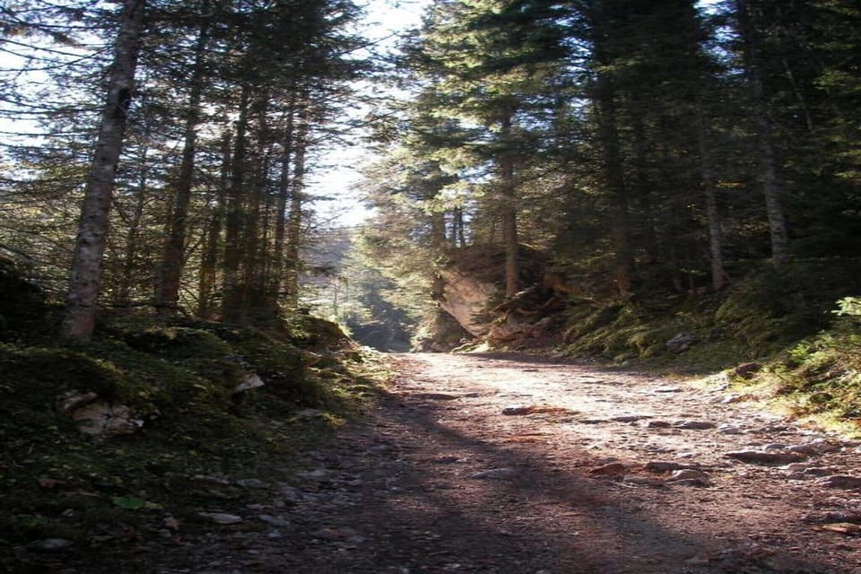 Region [summer] (>5 km)