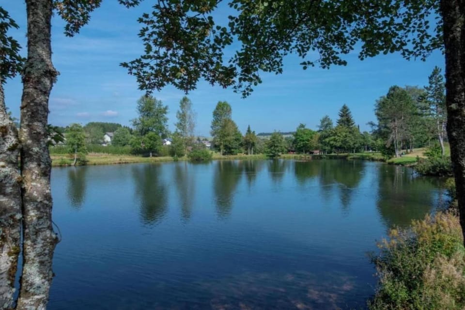 Region [summer] (>5 km)
