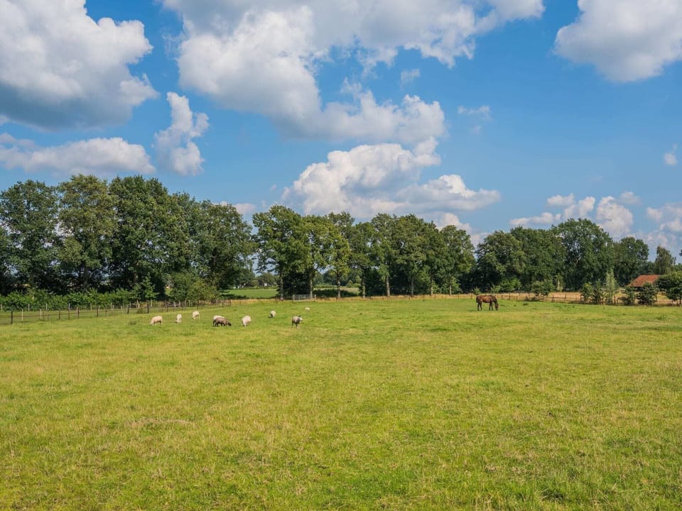 Surroundings [summer] (1-5 km)